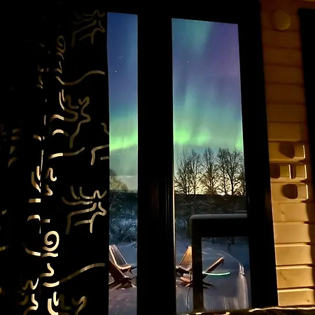Aurora Forest