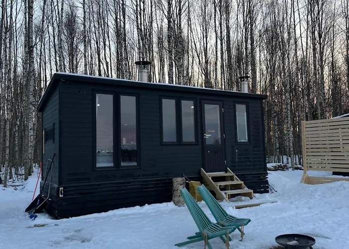 Aurora Forest * Rovaniemi